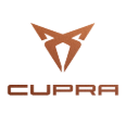 Rimappatura centralina Cupra