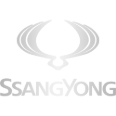 Rimappatura centralina SsangYong